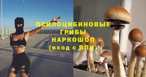 дурь Абинск