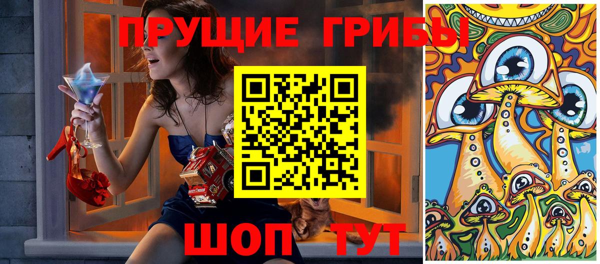 Ртищево  закладки  Вход с VPN  Псилоцибиновые грибы мицелий 